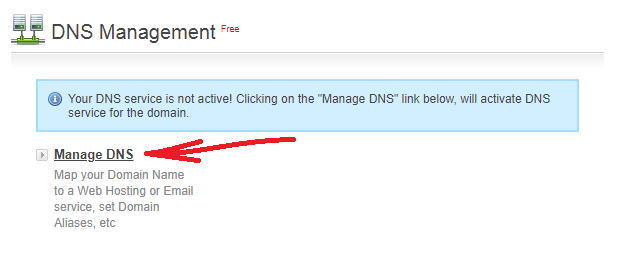 找到 DNS 管理