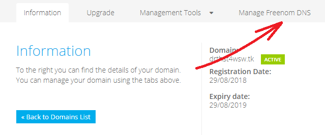 DNS 管理页面